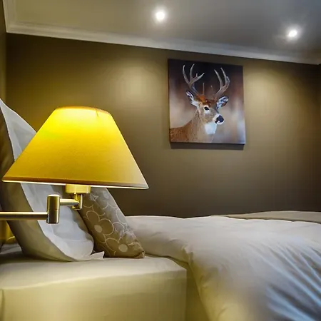 Aux 4 Saisons לינה וארוחת בוקר גדין